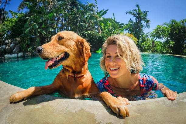 Luxury Dog Resorts: A Vacation for Your Pet